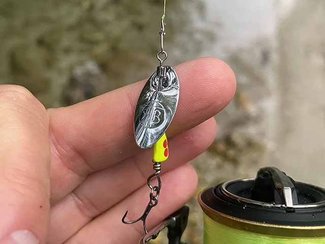 https://www.rtb-fishing.com/static/i/imagini-produse/lingurita-rotativa-rtb-inline-spinner-2-2-1g-05-silver-blade-1680792382-3.jpg